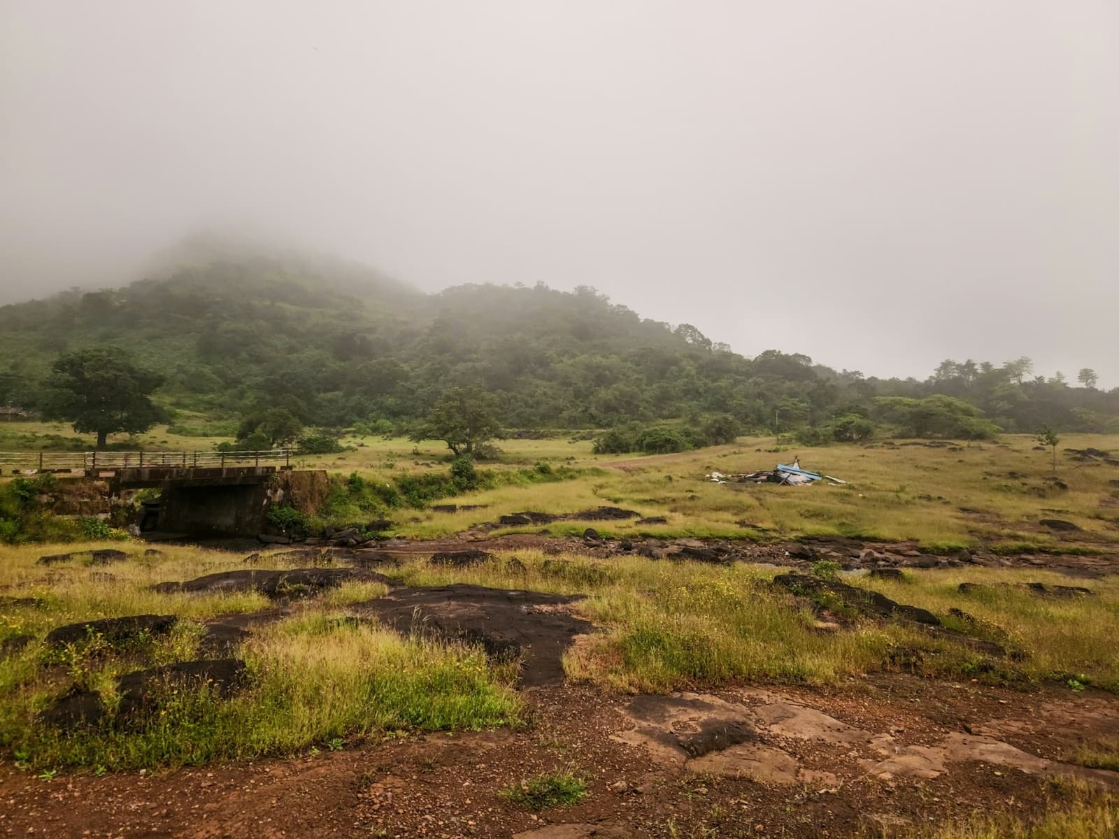 Bhimashankar & Bhandardara