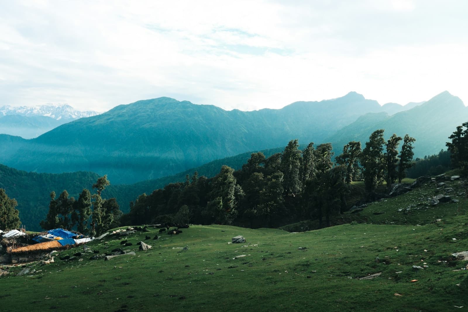 Chopta & Tungnath Escape